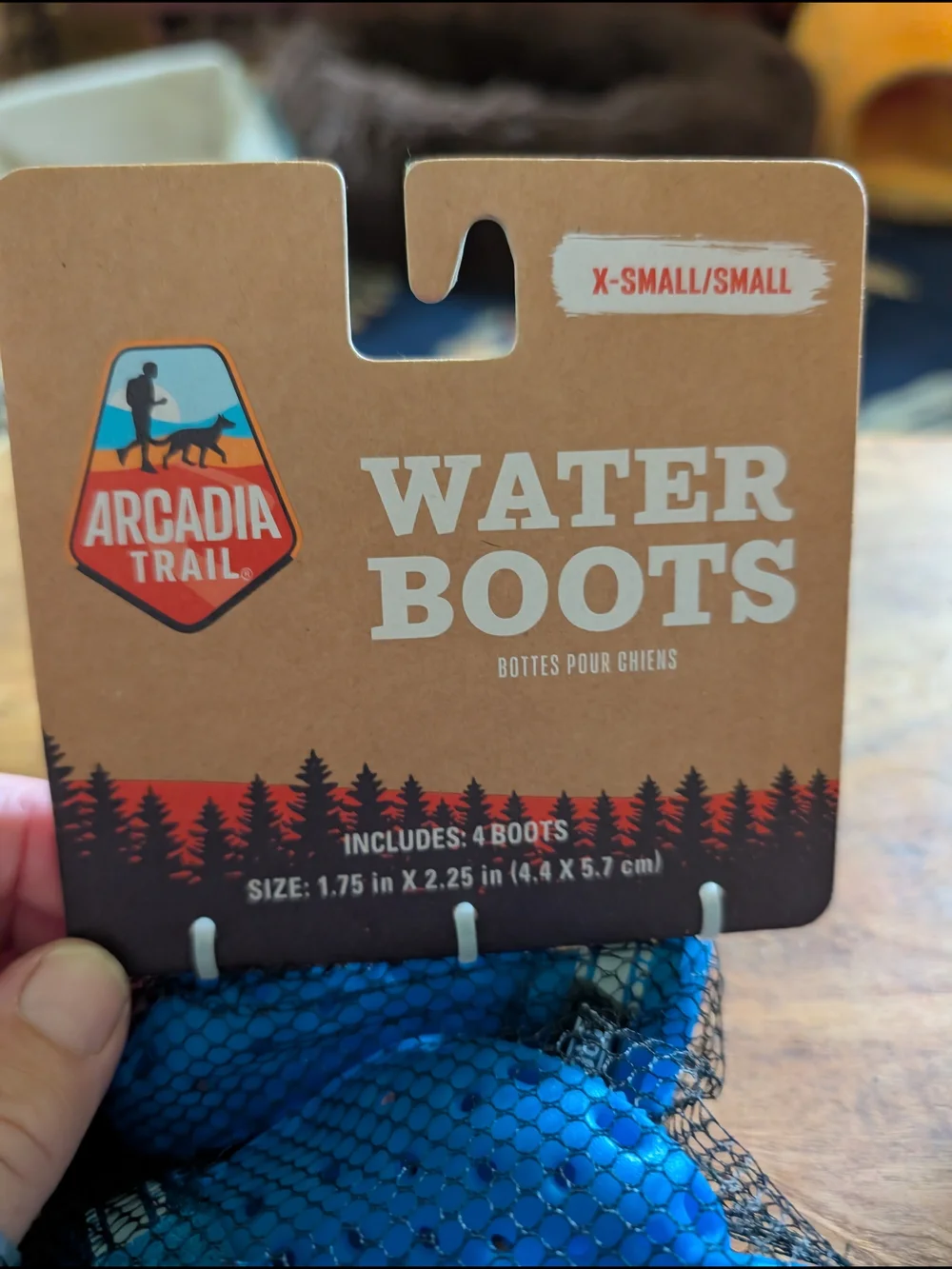 NWT Water And Hot Cement Clogs For Small Dogs